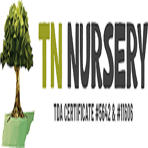 Tennessee Wholesale Nursery