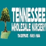 Wholesale Nursery Co